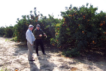 Dr. Pitz visiting orange grove in Sha'ar Hanegev, Israel